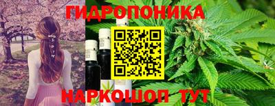 ешки Аргун