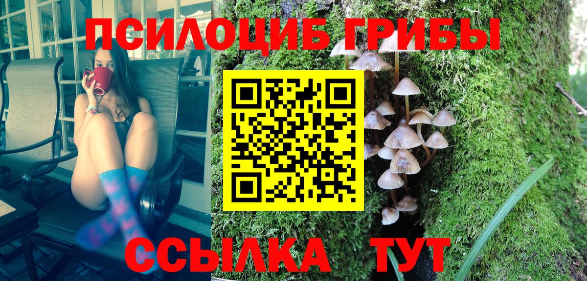 Псилоцибиновые грибы прущие грибы  Вход с VPN  Беслан  купить наркотик  Псилоцибиновые грибы прущие грибы 